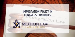 New congress faces same immigration challenges