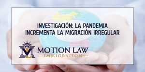 Investigación: Migrantes tremendamente afectados por la pandemia