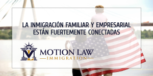 ¿Cómo están relacionadas la inmigración familiar y empresarial?