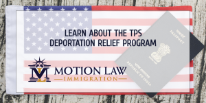 Take expert advice during your immigration journey in the US