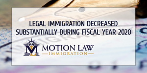 Legal immigration decreased by almost 92% during FY 2020