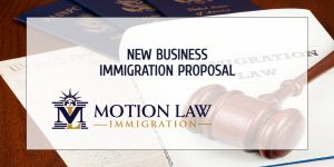 Senators propose new measures for business immigration