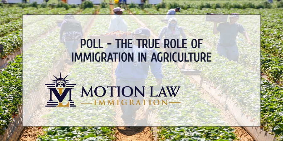 Immigration as a pillar of agriculture