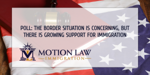 The opinion of the population regarding the border surge and immigration in general