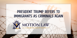 Trump uses derogatory terms again against undocumented immigrants