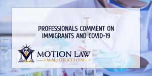 Experts comment on the border situation and COVID-19