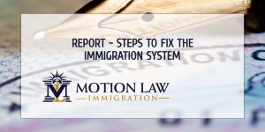 What could fix the immigration system?