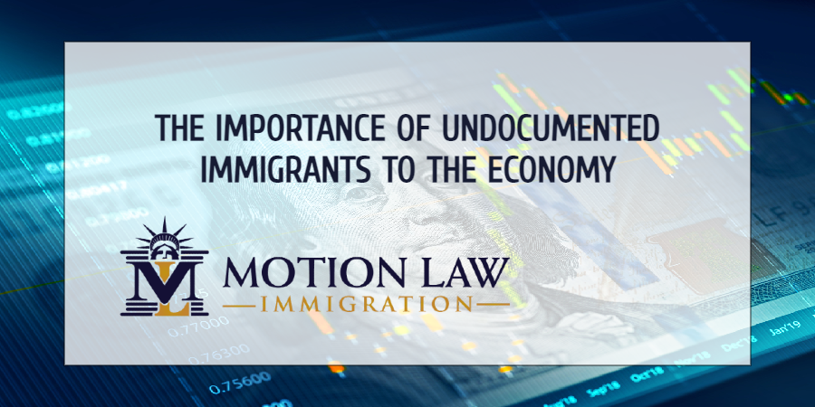 Report reveals that undocumented workers contribute to economic development
