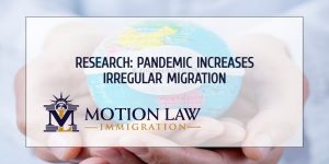 Research: Migrants tremendously affected by the pandemic