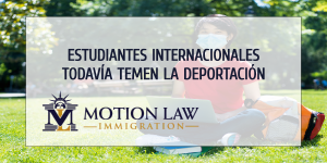 Si estudiantes extranjeros no encuentran trabajo, podrían ser deportados