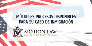 Contacte ayuda profesional para conocer sus opciones para su caso de inmigración