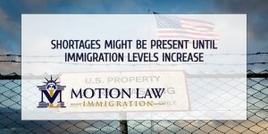 A call to expedite immigration to overcome supply difficulties