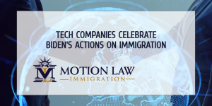 Recognized companies applaud Biden for his immigration reform