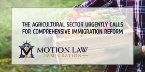 Visa processing delays tremendously affect the agricultural sector