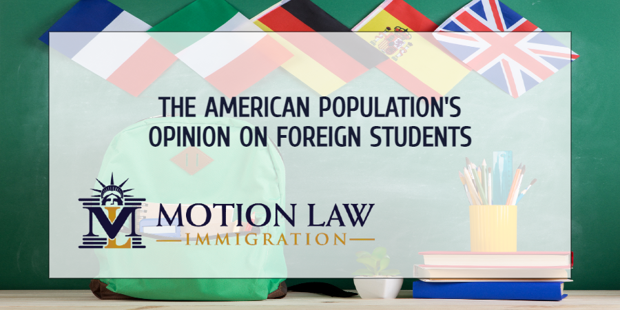 What do the local population think about international students?