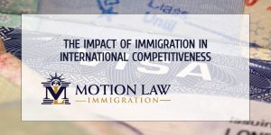 Country's competitiveness improves with immigration