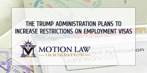 Trump's officials plan to increase restrictions for employment-based visas