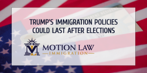 DHS officers state Trump's immigration policies will last after the elections