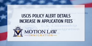 New policy alerts displays details about increase in immigration application fees