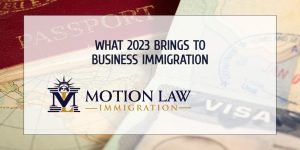 Essential business immigration programs in the new year