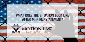 The MPP reinstatement: Immigration landscape at the Mexican borders