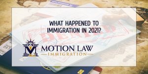 Official immigration figures
